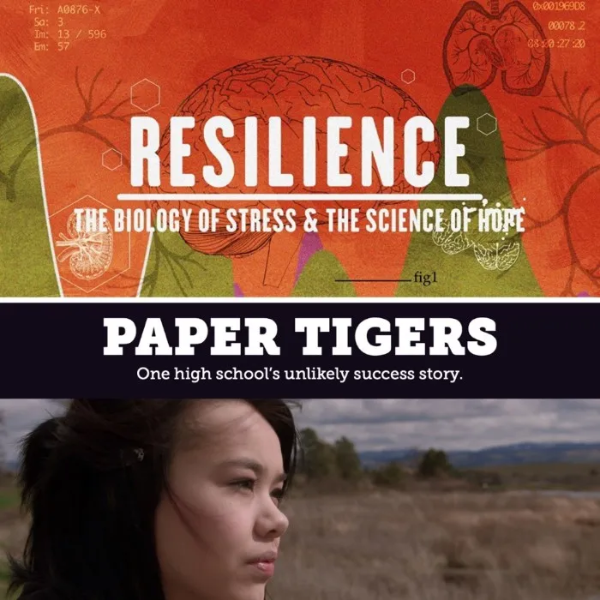 Resilience Paper Tigers