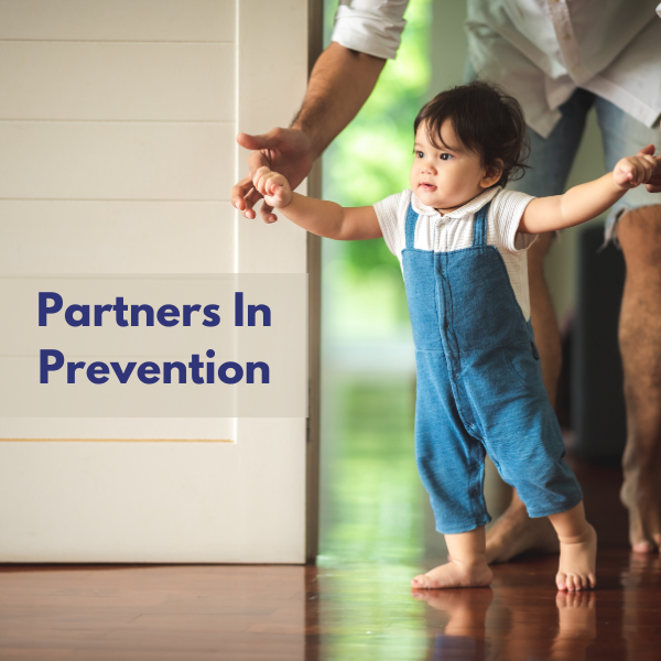 partners in prevention training
